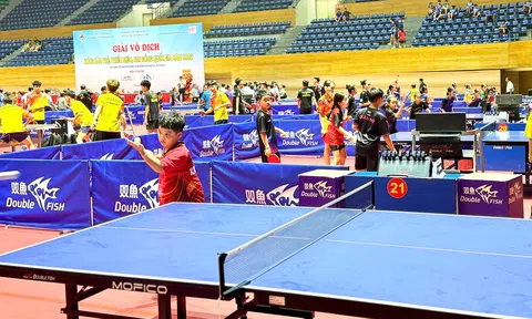 Đà Nẵng: 660 tay vợt tranh tài tại Giải vô địch bóng bàn trẻ, thiếu niên, nhi đồng quốc gia năm 2026