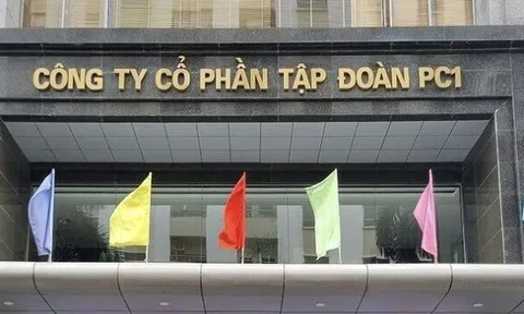 Chủ tịch Đại Dũng và con gái ông Trịnh Văn Tuấn ứng cử HĐQT PC1