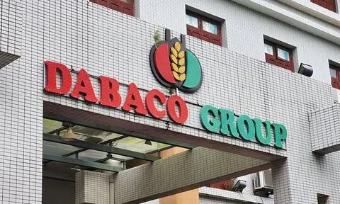Giá lợn hơi giảm kéo lợi nhuận của Dabaco “đi lùi”