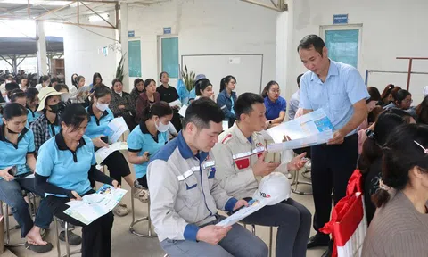 Bảo hiểm thất nghiệp giúp hơn 3.100 lao động Lào Cai vượt qua giai đoạn mất việc