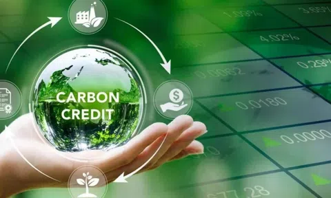 Giá tín chỉ carbon hàng không tiếp tục lao dốc
