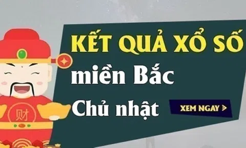 XSMB 2/8 Kết quả xổ số Miền Bắc hôm nay 2/8/2026 XSMB Chủ Nhật