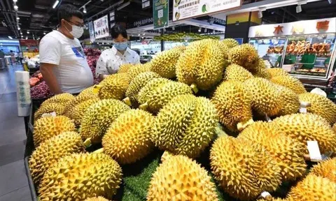 Giá sầu riêng hôm nay 3/8/2026: Sầu Thái bật tăng, hàng đẹp tại Đắk Lắk lên tới 85.000 đồng/kg