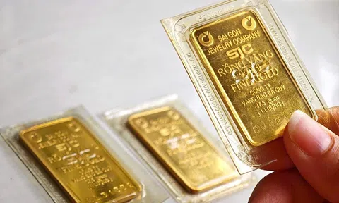 Giá vàng hôm nay 4/8/2026: Nhích tăng chiều mua vào