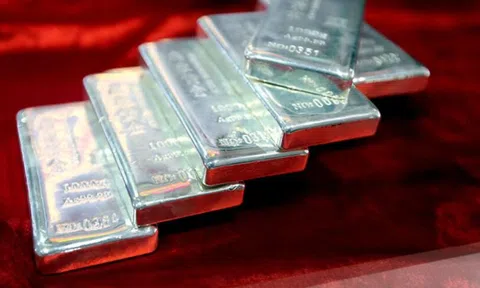 Giá bạc hôm nay 5/8/2026: Đồng loạt tăng