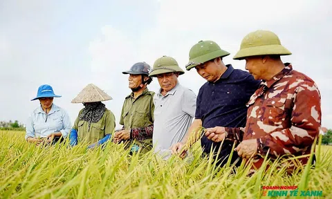 Xã Lạc Phượng (Hải Phòng): Đánh thức tiềm năng phát triển nông nghiệp sinh thái từ sức mạnh nội tại