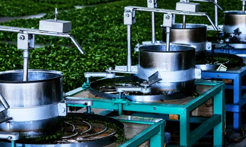 Chế biến sâu: Chìa khóa nâng cao giá trị nông sản Việt Nam trong kỷ nguyên kinh tế xanh