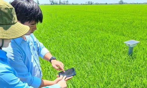 Xây dựng nền nông nghiệp hiện đại bằng chuyển đổi số