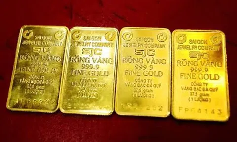 Giá vàng hôm nay 9/8/2026: Đồng loạt tăng