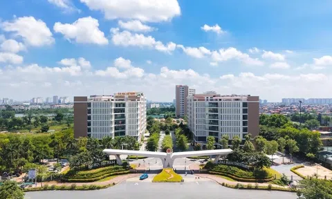 Điểm chuẩn trúng tuyển Trường Đại học Đại Nam năm 2026