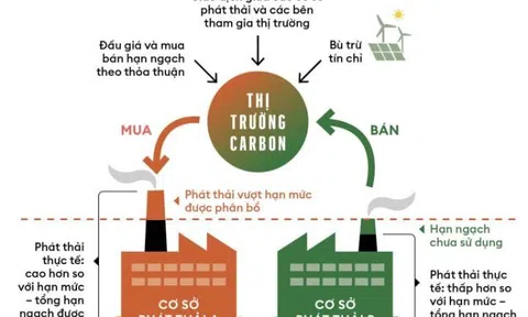 5 Nguyên tắc cơ bản của nền kinh tế xanh