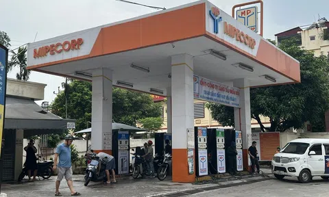 Giá xăng dầu hôm nay 12/8/2026: Giá dầu thế giới tiếp tục tăng