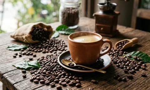 Giá cà phê hôm nay 13/8/2026: Arabica duy trì đà tăng, robusta vẫn giảm nhẹ