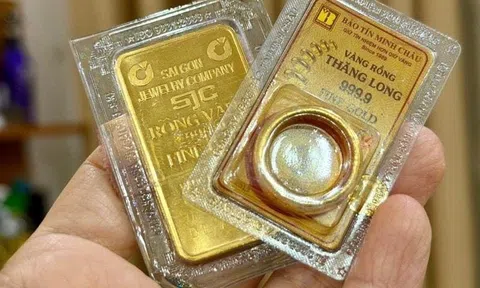 Giá vàng hôm nay 13/8/2026: Vàng trong nước và thế giới đồng loạt tăng