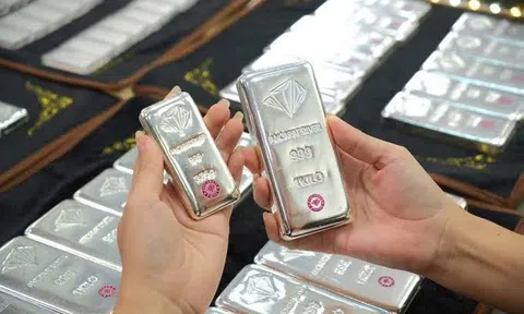 Giá bạc hôm nay 14/8/2026: Đồng loạt giảm mạnh