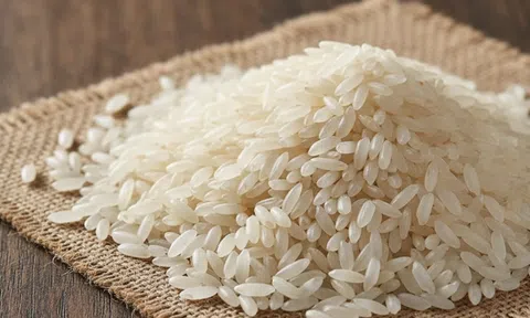 Giá lúa gạo hôm nay 16/8/2026: Giá lúa tươi giảm