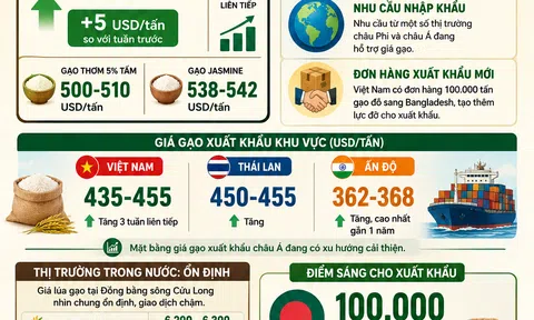 [Infographic] Gạo Việt Nam ghi nhận tuần tăng giá thứ ba liên tiếp