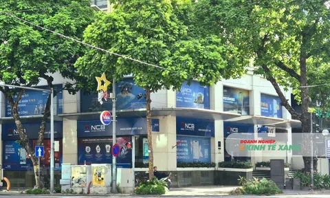 NCB muốn phát hành 3,3 tỷ cổ phiếu, tăng gấp đôi vốn điều lệ lên 62.300 tỷ đồng
