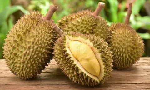 Giá sầu riêng hôm nay 19/8/2026: Thị trường phân hoá