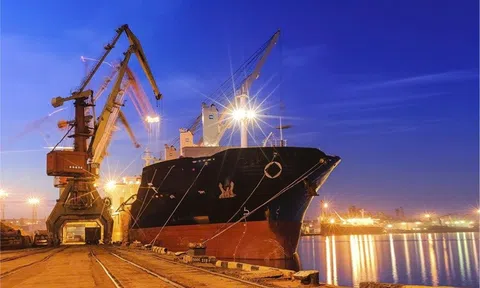 Chỉ 6 tháng, Cảng Quảng Ninh đã đạt gần 79% lợi nhuận năm, cổ đông nhận cổ tức 10%