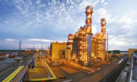 Lợi nhuận sau thuế của Điện lực Dầu khí Nhơn Trạch 2 giảm hơn 95 tỷ đồng sau soát xét
