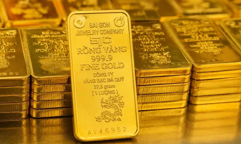 Giá vàng hôm nay 20/8/2026: Vàng trong nước giảm, vàng thế giới bật tăng mạnh