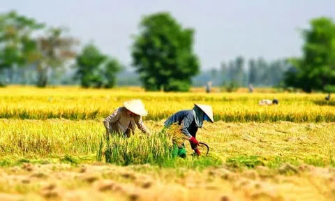 Nông nghiệp, nông dân, nông thôn trong xây dựng nông thôn mới ở việt nam: thành tựu, vấn đề đặt ra và định hướng phát triển bền vững