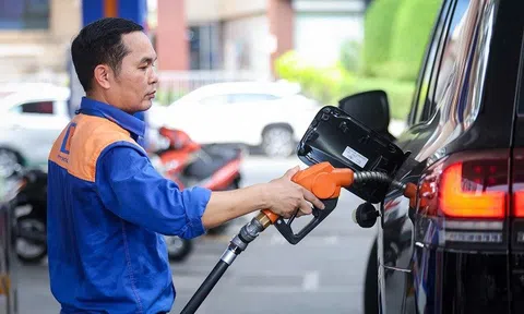 Giá xăng dầu hôm nay 21/8/2026: Giá dầu thế giới neo ở mức cao
