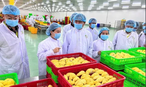 Hệ thống truy xuất nguồn gốc nông sản đã ghi nhận hơn 158.000 sản phẩm