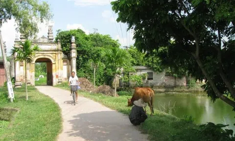 Xây dựng nông thôn mới hành trình đổi mới từ lượng tới chất