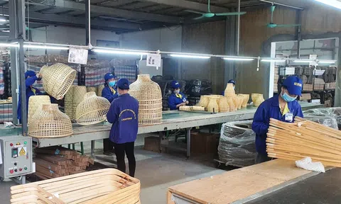 FiinGroup: Chỉ 8,8% doanh nghiệp vừa và nhỏ được tiếp cận vốn vay