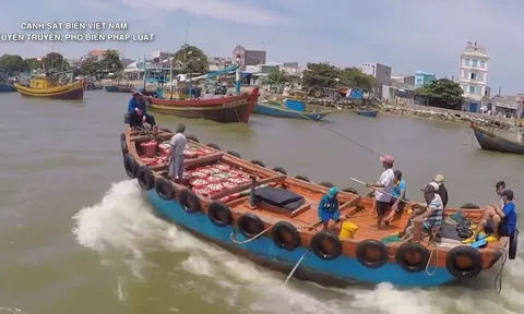Cái giá của lòng tham
