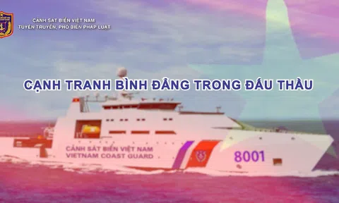 Cạnh tranh bình đẳng trong đấu thầu