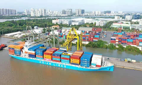 Vận tải và Xếp dỡ Hải An có cổ đông lớn mới
