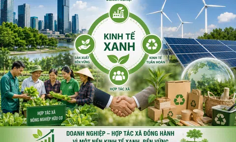 Vai trò của doanh nghiệp, hợp tác xã với phát triển kinh tế xanh