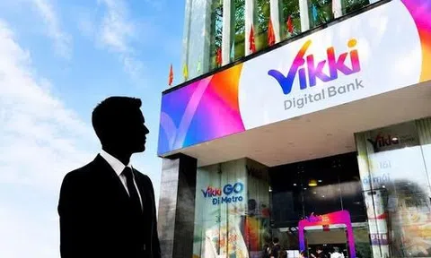 Kazon Investment thoái vốn, ai đang sở hữu VikkiBankS?