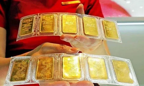 Giá vàng hôm nay 1/9/2026: Vàng nhẫn tiếp tục giảm