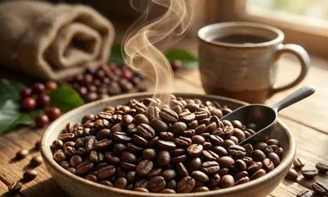 Giá cà phê hôm nay 2/9/2026: Tăng giảm trái chiều
