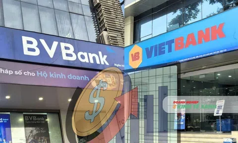 Ngân hàng lên HoSE đồng loạt tăng vốn, BVBank tăng gần 55%, Vietbank thêm 4.779 tỷ đồng