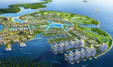 Chủ đầu tư Khu du lịch quốc tế Đồi Rồng công bố báo cáo tài chính 6 tháng
