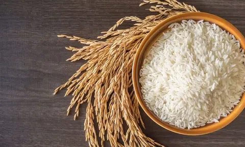 Giá lúa gạo hôm nay 7/9/2026: Đầu tuần ít biến động