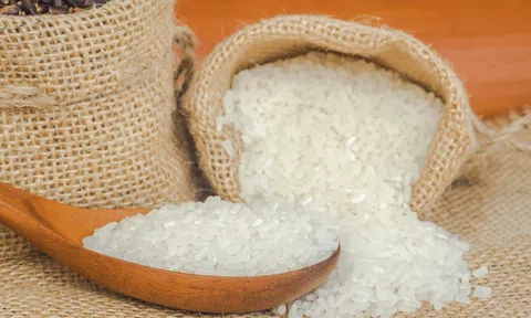 Giá lúa gạo hôm nay 8/9/2026: Gạo nguyên liệu xuất khẩu giảm nhẹ