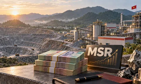 Cổ đông MSR sắp nhận cổ tức tiền mặt lần đầu tiên