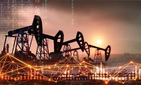 Giá xăng dầu hôm nay 9/9/2026: Giá dầu thế giới tiếp tục tăng