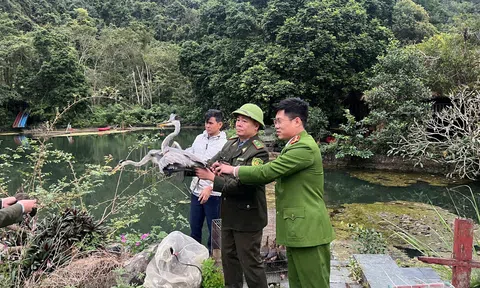 ​Hải Phòng: Siết chặt quản lý, tăng cường xử lý vi phạm về bảo vệ động vật hoang dã và nguồn lợi thủy sản