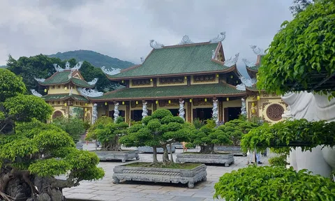 Không gian rừng quanh chùa Linh Ứng ở Đà Nẵng