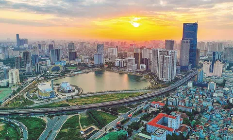 JLL: Việt Nam lọt Top 10 thị trường bất động sản cải thiện minh bạch nhanh nhất thế giới