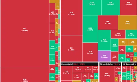 Rung lắc tiếp tục xuất hiện, VN-Index vẫn đóng cửa trên mốc 1.800 điểm