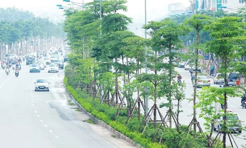 Bộ Xây dựng ban hành văn bản hợp nhất hướng dẫn quản lý cây xanh đô thị