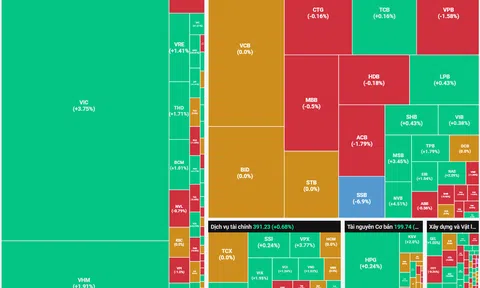 Phiên thứ 2 FTSE GEIS có hiệu lực, thị trường lấy lại mốc 1.800 điểm